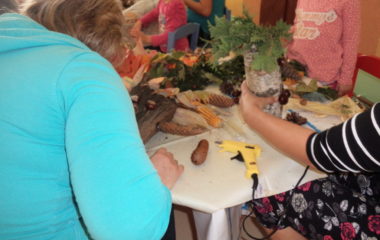 Podzimníčci - P1010179 380x240