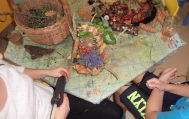 Podzimníčci - P1010192 380x240