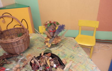 Podzimníčci - P1010219 380x240