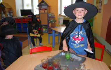 školní rok 2013 - 2014 - čar 61 380x240