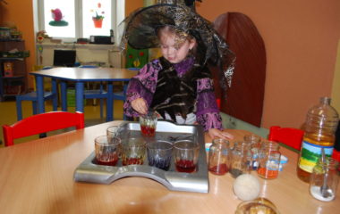 školní rok 2013 - 2014 - čar 65 380x240