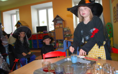 školní rok 2013 - 2014 - čar 66 380x240