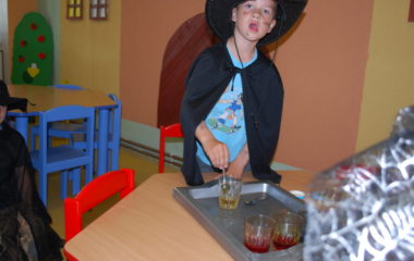 školní rok 2013 - 2014 - čar 71 380x240