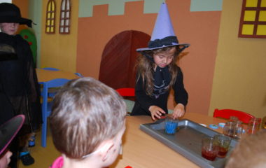 školní rok 2013 - 2014 - čar 73 380x240