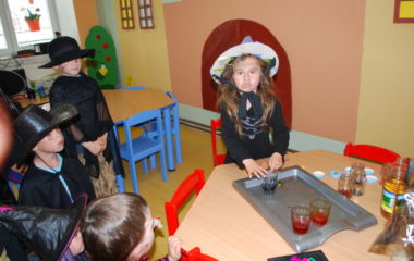 školní rok 2013 - 2014 - čar 74 380x240