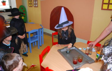 školní rok 2013 - 2014 - čar 75 380x240