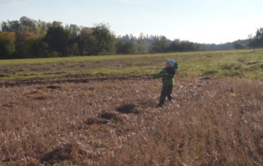 školní rok 2012 -2013 - DRAK2012 1 380x240