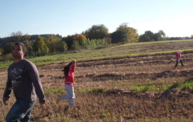 školní rok 2012 -2013 - DRAK2012 14 380x240