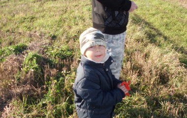 školní rok 2012 -2013 - DRAK2012 18 380x240