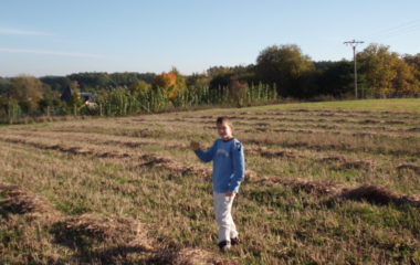 školní rok 2012 -2013 - DRAK2012 19 380x240