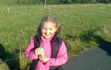 školní rok 2012 -2013 - DRAK2012 57 380x240