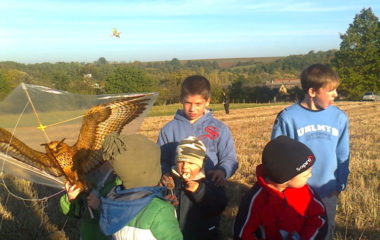 školní rok 2012 -2013 - DRAK2012 61 380x240