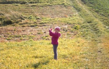 školní rok 2011 - 2012 - drak.2011 11 380x240