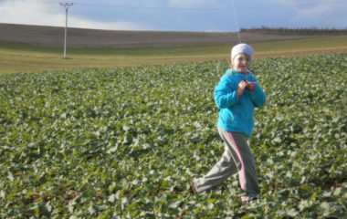 školní rok 2011 - 2012 - drak.2011 12 380x240