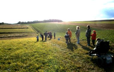 školní rok 2011 - 2012 - drak.2011 16 380x240