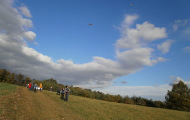 školní rok 2011 - 2012 - drak.2011 9 380x240