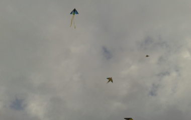 školní rok 2013 - 2014 - drakiáda 2013 27 380x240