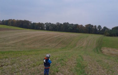 školní rok 2013 - 2014 - drakiáda 2013 6 380x240