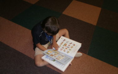 školní rok 2011 - 2012 - rozl.čer.2012 2 380x240