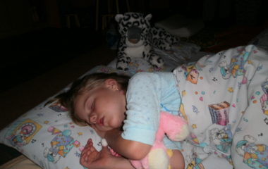 školní rok 2011 - 2012 - rozl.čer.2012 60 380x240