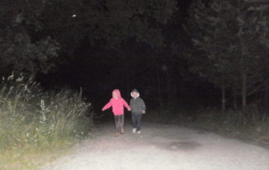 školní rok 2010 - 2011 - rozl. se škol. 2011 25 380x240