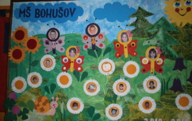 školní rok 2010 - 2011 - tablo 2011 2 380x240