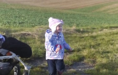 školní rok 2015 - 2016 - ríj 15 380x240