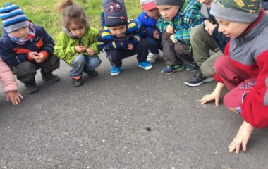 loučení se  s "Paní zimou" - IMG 20190329 WA0007 380x240