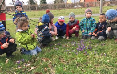 loučení se  s "Paní zimou" - IMG 20190329 WA0019 380x240