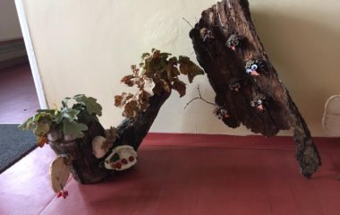 naši podzimníčci - IMG 20191009 WA0009 380x240