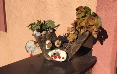 naši podzimníčci - IMG 20191009 WA0010 380x240