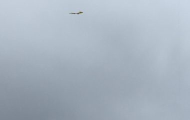 drakiáda - IMG 20191014 WA0003 380x240