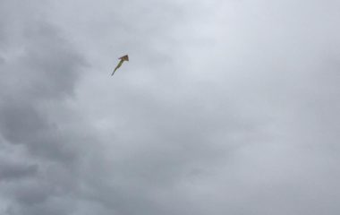 drakiáda - IMG 20191014 WA0026 380x240