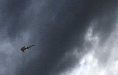 drakiáda - IMG 20191014 WA0048 380x240
