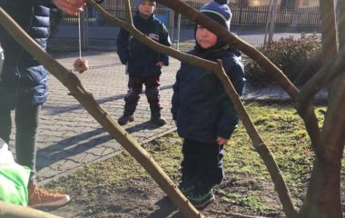 výroba krmení pro ptáčky - IMG 20200120 WA0009 380x240