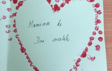 naše jarní poznávání - IMG 20200507 WA0006 380x240