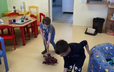 naše jarní poznávání - IMG 20200507 WA0029 380x240