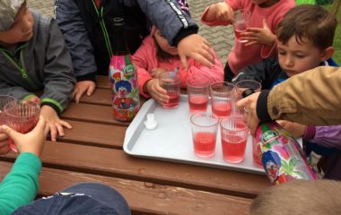 rozloučení s předškoláčky - IMG 20200626 WA0066 380x240