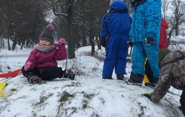 zimní radovánky - IMG 20210127 WA0035 380x240