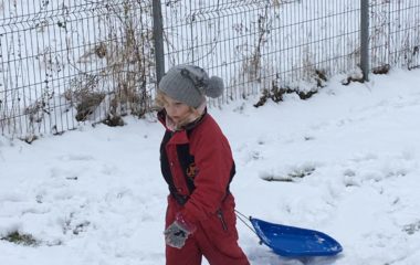 zimní radovánky - IMG 20210127 WA0076 380x240