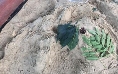 začaly nám prázdniny :-) - IMG 20210630 WA0022 380x240