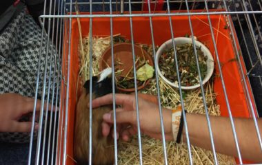 září u nás ve školce - IMG 20210927 WA0028 380x240