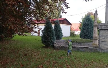 jak jsme plnili úkoly - "podzimní list" - IMG 20210922 165258 380x240