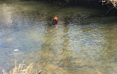 loučení se zimou - IMG 20220329 WA0008 380x240