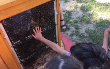 povídání o "Včelkách" - IMG 20220704 WA0005 380x240