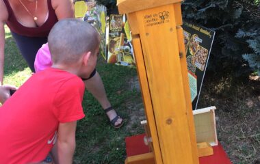 povídání o "Včelkách" - IMG 20220704 WA0010 380x240