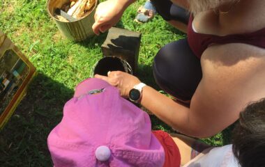 povídání o "Včelkách" - IMG 20220704 WA0021 380x240