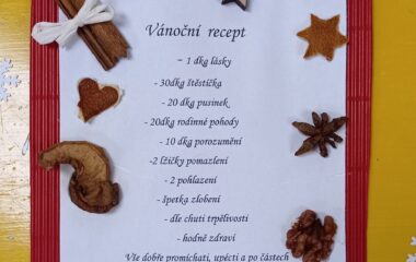 Vánoce, vánoce přicházejí ............. - IMG 20221214 153928 380x240