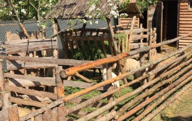 putování za zvířátky - IMG 20230511 WA0014 380x240
