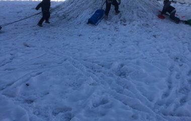 povídání o lese - IMG 20231204 WA0027 380x240